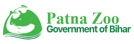 logo large converted from svg