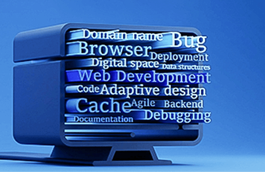 Custom Website Development