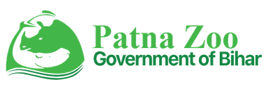 logo large converted from svg
