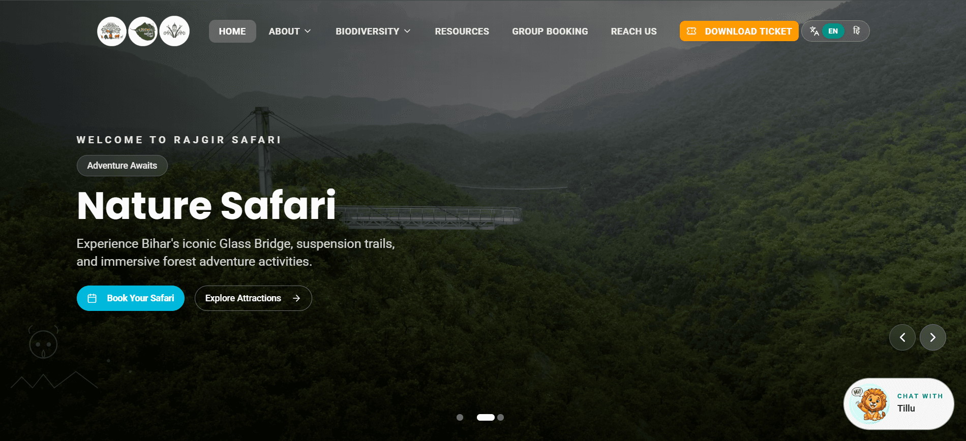 Website preview