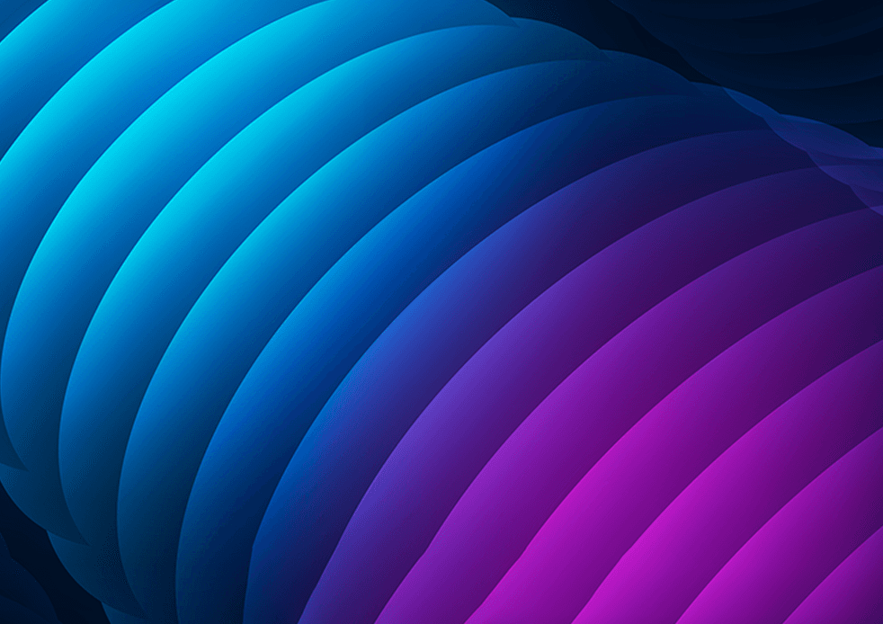 Visual Identity System