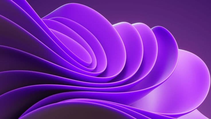 Visual Identity System